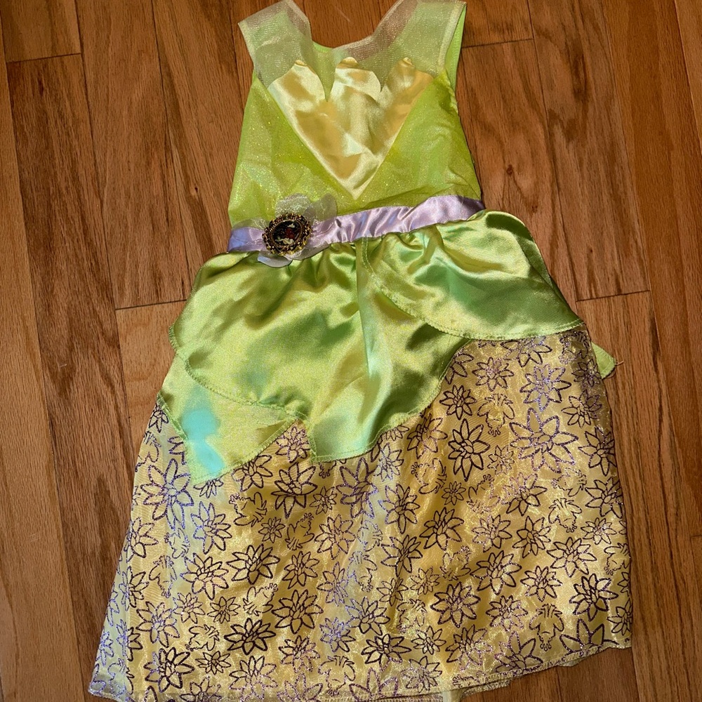 Princess Tiana dress